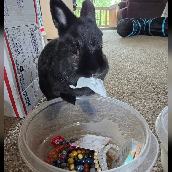 🐰SALE🐰 10mm Premium Chrysocolla Bracelet - Picture 2 of 7
